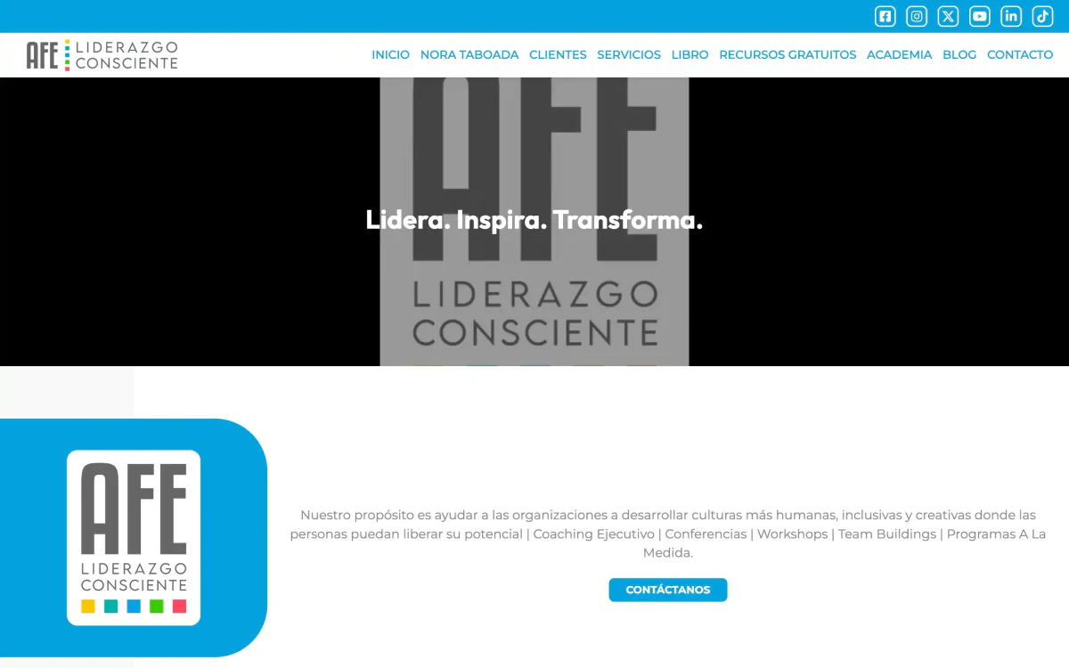 Website preview for AFE